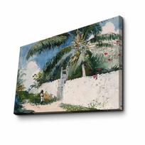 Reprodukcija A Garden in Nassau (Winslow Homer)
