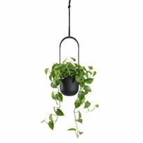 Kabantis gėlių vazonas Aera Hang Recykling Antracitas 17,9 Cm