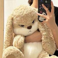 Didelio dydžio piktas zuikis pliušinis žaislas mielas gyvūnas pliušinė lėlė kawaii iškamšyti minkšti žaislai modelis kambario dekoras gimtadienio dovanos 40cm beige