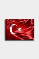 Reprodukcija Turkijos vėliava