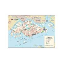 Singapūro žemėlapis Kelių žemėlapis Miesto reljefas ir uosto žemėlapis Kelioninės prekės Plakatai Dekoras Paveikslai Namų dekoras Kultūrinis švietimas A1-84.1*59.4cm beige
