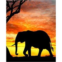 Animal Elephants DIY Paint By Numbers Set Acrylic Paints 40*50 Canvas Painting Wall Paintings Crafts For Adults Wholesale Handic 60x75cm no frame raudona