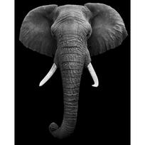 Animal Elephants DIY Paint By Numbers Set Acrylic Paints 40*50 Canvas Painting Wall Paintings Crafts For Adults Wholesale Handic 30x20cm diy frame black