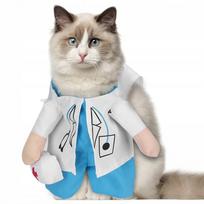 Katės kostiumas „Mini Doctor“ – juokingi drabužiai augintiniui