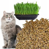 Dantų skanėstas katėms GRASS su žole ir sėklomis, 200 g