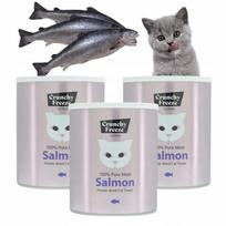 Liofilizuota lašišos užkandėlė katėms HEALTHY FLAVORS, 3 x 140 g