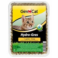 Žolė katėms GIMCAT Hydro Gras, 150 g indelis