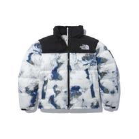 THE NORTH FACE FW22 Logotipo Žieminis Striukė 'Daugiaspalvis' Vyriškas NJ1DN51J XS black
