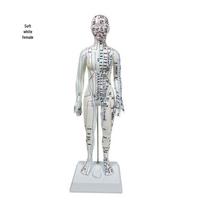 Runshi Meridian Human Body Massage Acupoints Model for TCM Teaching - Soft Simulation Material