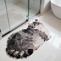 Puppy Bathroom Carpet Diatom Mud Bathroom Quick-drying Absorbent Floor Mat Household Bathroom Custom Non-slip Mat 40*60cm (upgraded version of diatom mud) gray