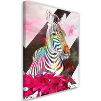 Canvas print, Abstract zebra and shapes 40x60 įvairiaspalvis