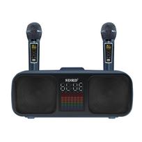 Karaokės aparatas suaugusiems ir vaikams Nešiojami garsiakalbiai su 2 UHF belaidžiais mikrofonais Palaiko AUX/USB/Type C/TF kortelę/Bluetooth Garso stiprinimo sistema mėlyna