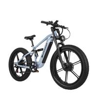 Nathaniel SYR09 Electric Mountain Bike – 48V 20Ah Removable Battery pilka