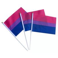 14x21 cm vaivorykštinė vėliava su vėliavos stiebu Mini rankinė vaivorykštės vėliava gėjų LGBT lesbietės Homoseksualas Biseksualus Panseksualumas Pasididžiavimas Namų dekoras 1PC