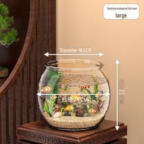 Skaidrus apvalus stalo akvariumas auksinėms žuvytėms ar vėžliams, tinkamas namams ar biurui. Large round fish tank, diameter 24cm