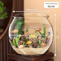 Skaidrus apvalus stalo akvariumas auksinėms žuvytėms ar vėžliams, tinkamas namams ar biurui. Giant round fish tank, belly diameter 32cm