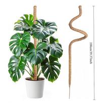 Žaliasis ridikas Kokoso palmės stiebas Stulpas Augalas Gėlių stovas Laipiojimo rėmas Monstera Atrama Kokoso pluošto samanų stulpas Apvyniotas stovas 100cm