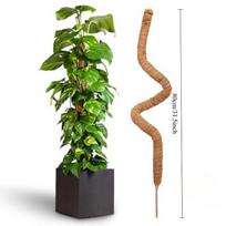 Žaliasis ridikas Kokoso palmės stiebas Stulpas Augalas Gėlių stovas Laipiojimo rėmas Monstera Atrama Kokoso pluošto samanų stulpas Apvyniotas stovas 80cm brown