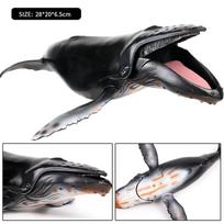 Oenux Vandenyno gyvūnai Laukinių Megalodonų Belugų Dideli rykliai Orcos Kašalotai Mėlynieji banginiai Veiksmo figūrėlės Jūros gyvūnų modelis Švietėjiškas žaislas vaikams