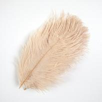 15-55CM Dideli stručio plunksnų plunksnynai namų vakarėlių dekoravimui, „pasidaryk pats“ reikmenys, spalvingi karnavalo plunksnų maišeliai, 10 vnt. 15-20CM chaki