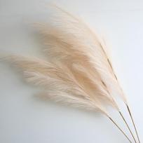Didelė pampų žolė 100 cm aukščio Purus nendrių puokštė Dirbtinė pampų žolė Dirbtinės gėlės Boho Namų Vestuvių Dekoravimas Gėlių kompozicija 3pcs šviesios kavos spalvos