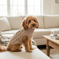 Žiemos vienspalvis klasikinis vienspalvis Čihuahua šuniuko megztukas mažiems šunims Žieminis šiltas augintinio drabužis Mezgimo šiltas komfortiškas drabužis S beige