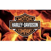 Gobelenas Harley Davidson vėliava didelis plakatas 200x180 juoda