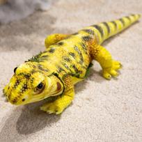 Naujas modeliavimo driežas pliušinis žaislas kimštas tropinis roplys gyvūnas iguanos minkštos lėlės realistiškas pliušinis žaislas zoologijos sodo dovanos gimtadienio dovanos 45-50cm yellow
