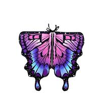 Colorful Fairy Wings Cloak Rotating Butterfly Shawl Cape Butterfly Wings Shawl  Festival Party black