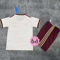 Futbolo apranga (komplektas: marškinėliai ir šortai) 24 gray