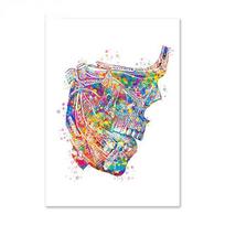 Dantų meno animacinis stilius Sienos meno plakatai Dantis Medicininis drobės tapybos spaudiniai Nuotraukos Dovana odontologui Moderni klinika Namų dekoras Be rėmo 40*50cm No Frame white
