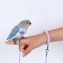 Reguliuojamas papūgos diržas ir pavadėlis, minkšta liemenė, tvirtas, apsaugantis nuo pabėgimo, tinkamas mažoms papūgoms, kasdieniam naudojimui lauke A1 gray