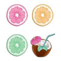 4Pcs Wooden Fruit Wall Slice Wall Decor Coconut/Lemon/Lime/Grapefruit Art beige