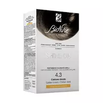 BioNike , Shine On, Permanent Hair Dye, 4.3 Golden Brown, 145 ml