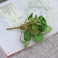 5 vnt. dirbtinė varinė monetų žolė, dirbtiniai augalai, netikri lapai, žalias augalas, stalo bonsai augalai, namų biuro dekoras gray