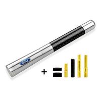 Automobilio radijo antena FM/AM Metalinė priimančioji antena Automobilio priedai Ford F150 Focus Ranger Fiesta Transit Mustang Mondeo MK2 MK3 Fusion ford sidabras