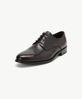Stco Plain Toe Derby Shoes_Brown_Sfwxz05Nsh Brown/265 black