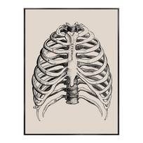 Žmogaus kūno skeletas anatomija plakatas organai meno kūrinys dekoratyviniai paveikslai drobė sienų menas klinikinė estetika medicinos kabineto dekoras 21x30cm No Framed