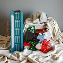 2025 Christmas Advent Countdown Calendar 25 Mini Book Ornaments Decorative Christmas Countdown Calendar Book Lovers Xmas Gift 39.6x6.5x7.1CM mėlyna