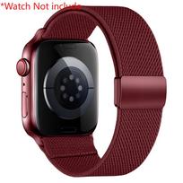 Magnetinis dirželis Apple Watch apyrankėms 11 42mm 46mm 44mm 40mm 41mm 45mm 49mm Elastinga apyrankė iwatch Serija ultra 3 2 9 8 se 3 10 Ultra 3 2 1 49mm vyno raudonos spalvos