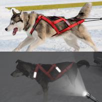 Šunų kinkinių rogės diržas Atspindintis naminio gyvūno svorio traukimo rogės diržas liemenė vidutinio dydžio ir dideliems šunims Husky Canicross Skijoring Motoroleriai chest 95 to 115cm raudona