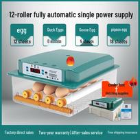 Automatinis namų inkubatorius vištų, ančių, žąsų, balandžių kiaušiniams 12 eggs, single power