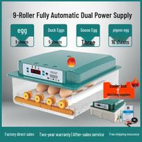 Automatinis namų inkubatorius vištų, ančių, žąsų, balandžių kiaušiniams 9 eggs, dual power