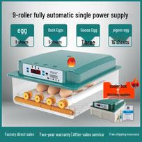 Automatinis namų inkubatorius vištų, ančių, žąsų, balandžių kiaušiniams 9 eggs, single power blue