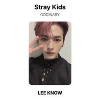 Stray Kids ODDINARY Oficiali nuotraukų kortelė LEE KNOW beige