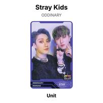 Stray Kids ODDINARY Oficiali nuotraukų kortelė Unit 21 gray