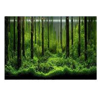 Akvariumo fonas Plakatas 3D PVC Lipdukas Žuvų bakas Povandeninis pasaulis Fonas 3D Vandenynas Jūros augalai Fono lipdukas 30x52cm green