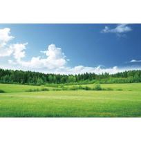 Žalias pavasario medis, upės fonas, natūrali gėlė, žolė, peizažas, fotostudijos fonas, šventinis dekoras, fotografijos rekvizitai 230X150cm