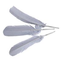 Daugiaspalvės žąsų plunksnos, kalakuto rodyklės, didelės plunksnos rašikliams, amatams, papuošalų gamybai, kostiumams 25-35CM Plumas Decorativas 20 pcs pilka spalva