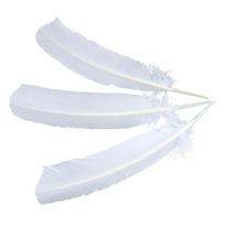 Daugiaspalvės žąsų plunksnos, kalakuto rodyklės, didelės plunksnos rašikliams, amatams, papuošalų gamybai, kostiumams 25-35CM Plumas Decorativas 20 pcs balta